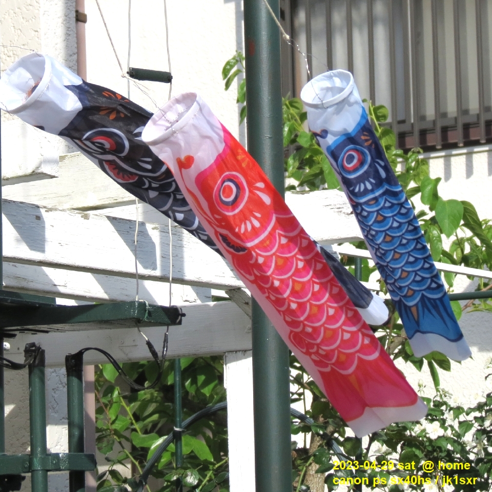 koinobori